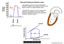 Pressure-Volume Loop